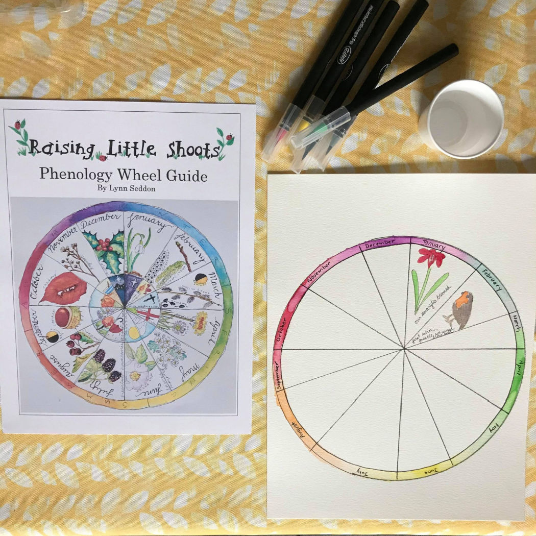 Phenology Wheel Basics For Nature Study – Librarian In The House